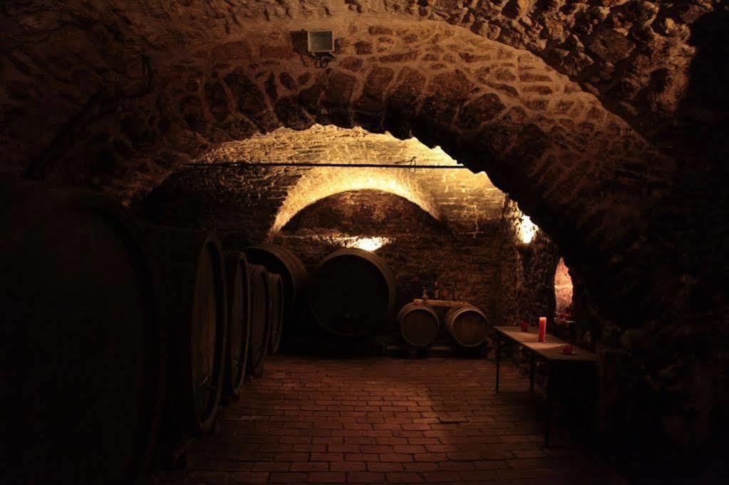 Ferienwohnung Winzerzimmer - Weingut Tinhof Eisenstadt Exterior foto